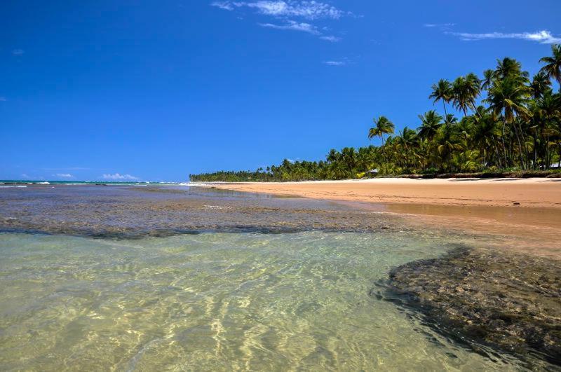 Apartament Flat Barra Mar Barra Grande  Zewnętrze zdjęcie